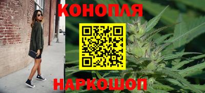 крисы Жуковский