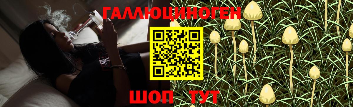 Псилоцибиновые грибы GOLDEN TEACHER Сергиев Посад