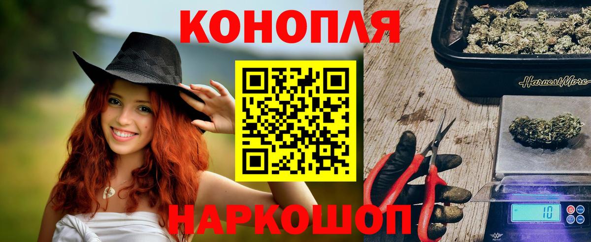 Шишки марихуана OG Kush Сергиев Посад